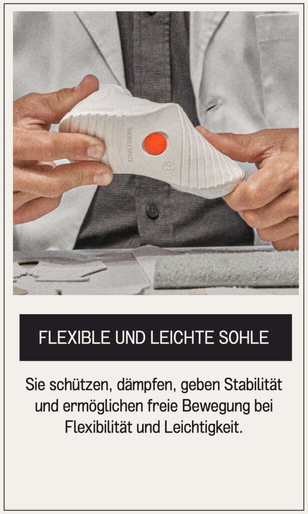 Mesa de trabajo 4 copia 23@2x-80